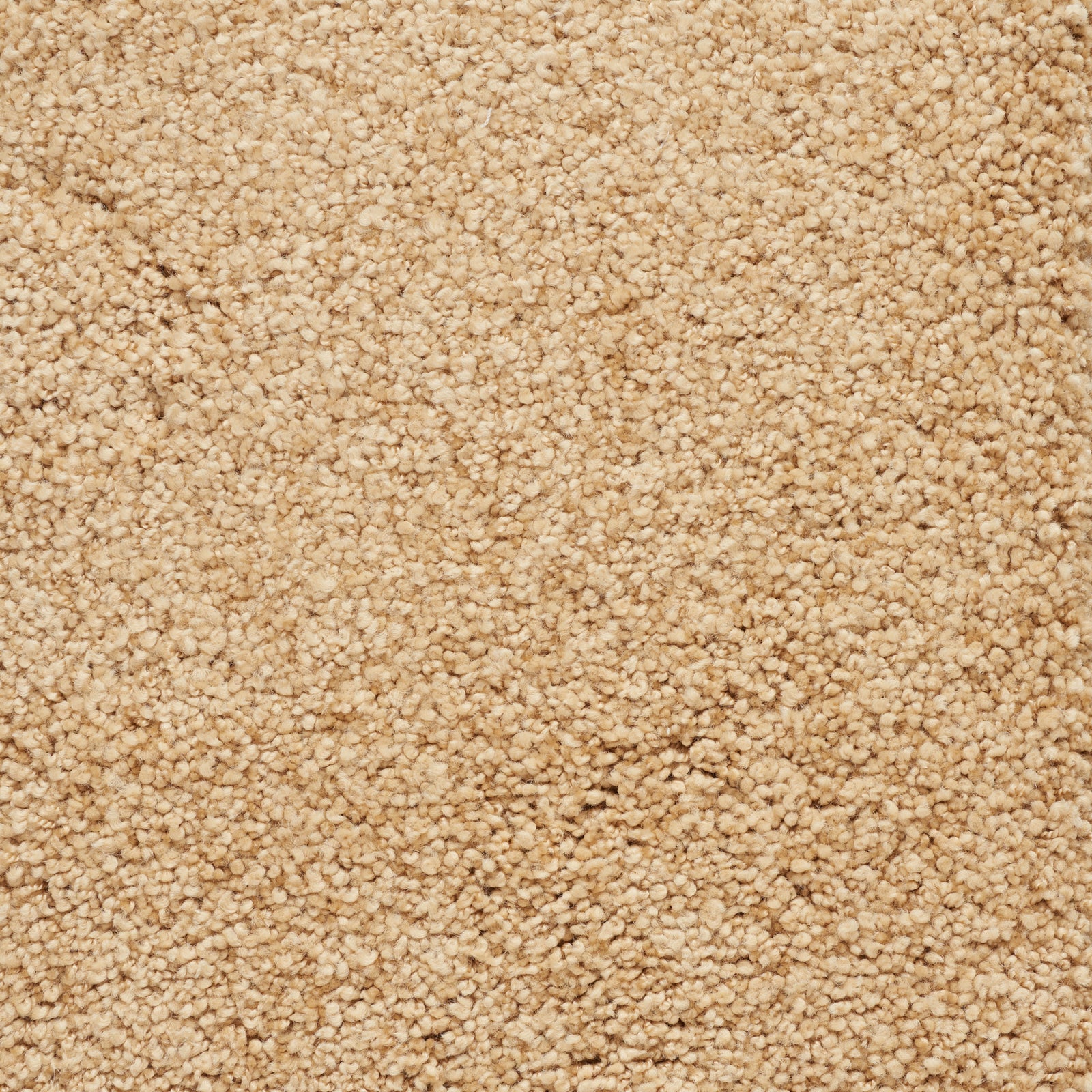 shanna_nylon_broadloom_patterson-flynn-martin_pfm