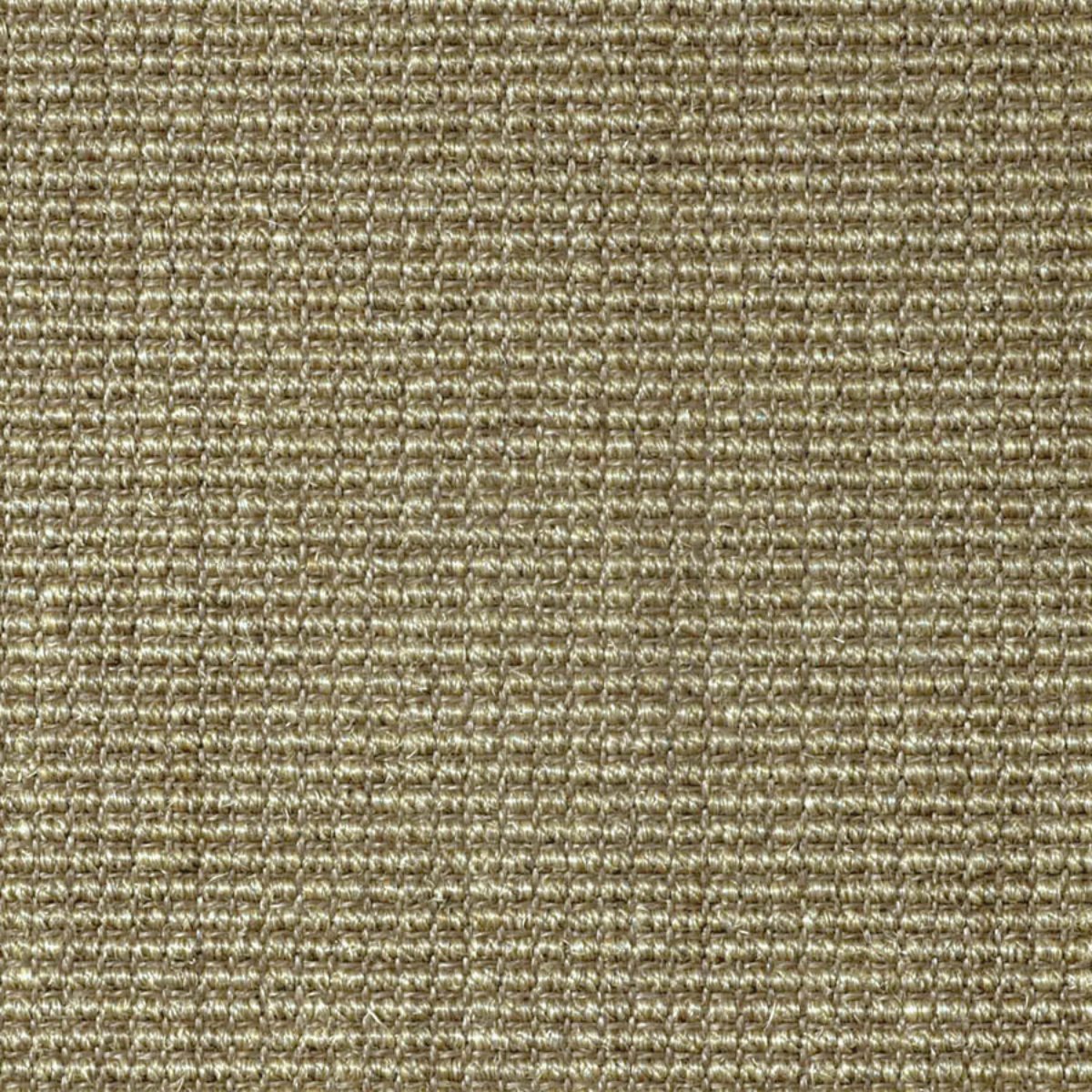 Marcia: Jumbo Boucle