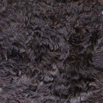 Curly Goat Skin