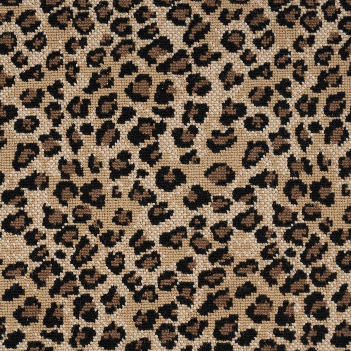 Kenya Leopard