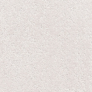 belafonte_nylon_broadloom_patterson-flynn-martin_pfm