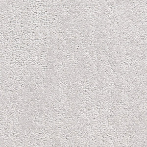 belafonte_nylon_broadloom_patterson-flynn-martin_pfm