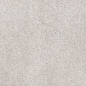 belafonte_nylon_broadloom_patterson-flynn-martin_pfm