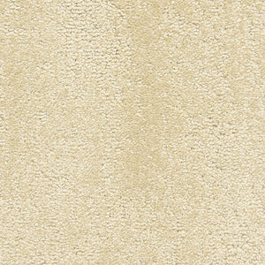 belafonte_nylon_broadloom_patterson-flynn-martin_pfm