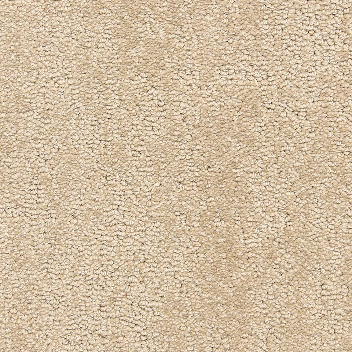 belafonte_nylon_broadloom_patterson-flynn-martin_pfm