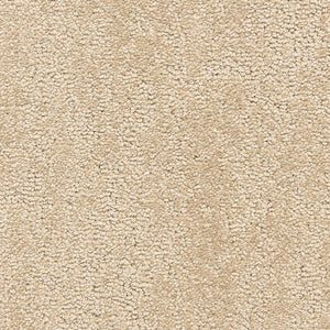 belafonte_nylon_broadloom_patterson-flynn-martin_pfm