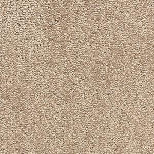 belafonte_nylon_broadloom_patterson-flynn-martin_pfm