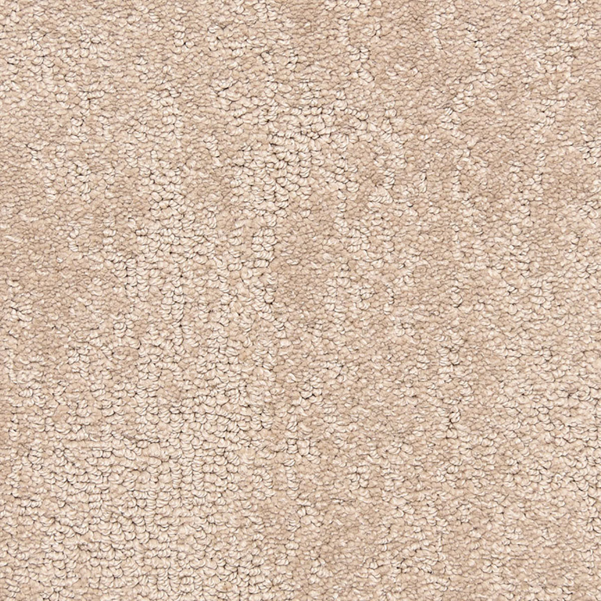 belafonte_nylon_broadloom_patterson-flynn-martin_pfm