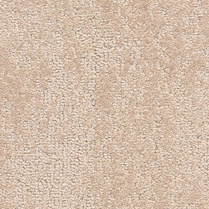 belafonte_nylon_broadloom_patterson-flynn-martin_pfm