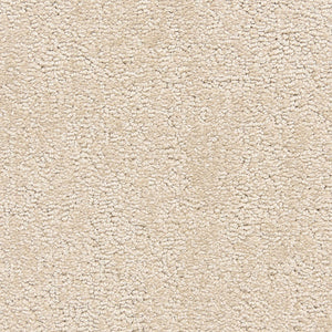 belafonte_nylon_broadloom_patterson-flynn-martin_pfm