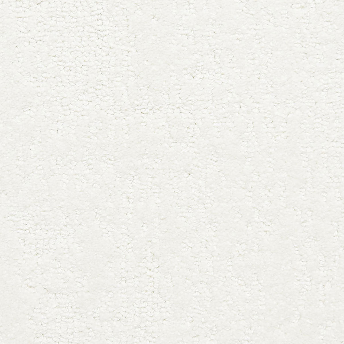 belafonte_nylon_broadloom_patterson-flynn-martin_pfm