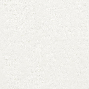 belafonte_nylon_broadloom_patterson-flynn-martin_pfm