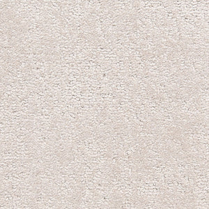 belafonte_nylon_broadloom_patterson-flynn-martin_pfm