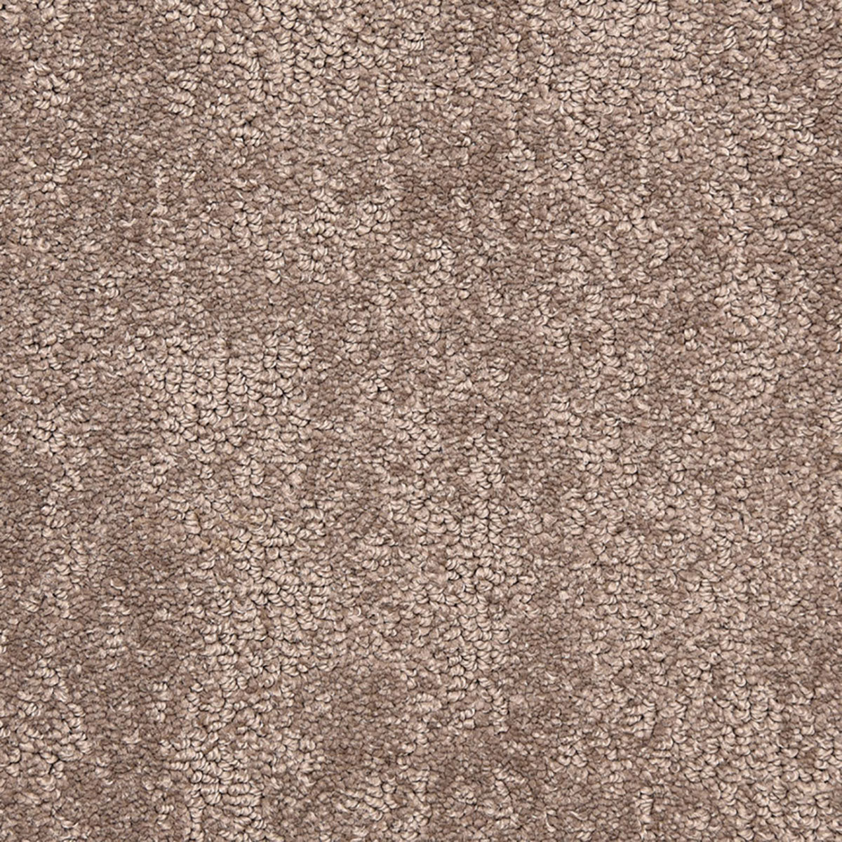 belafonte_nylon_broadloom_patterson-flynn-martin_pfm