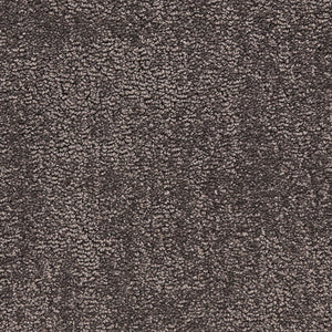 belafonte_nylon_broadloom_patterson-flynn-martin_pfm