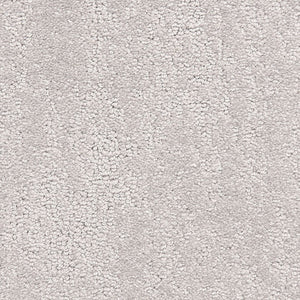 belafonte_nylon_broadloom_patterson-flynn-martin_pfm