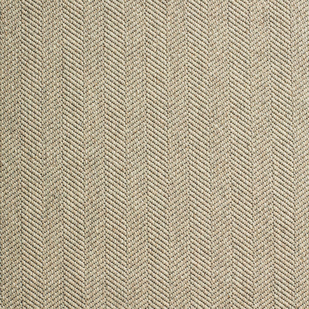 iggy_wool_broadloom_patterson-flynn-martin_pfm