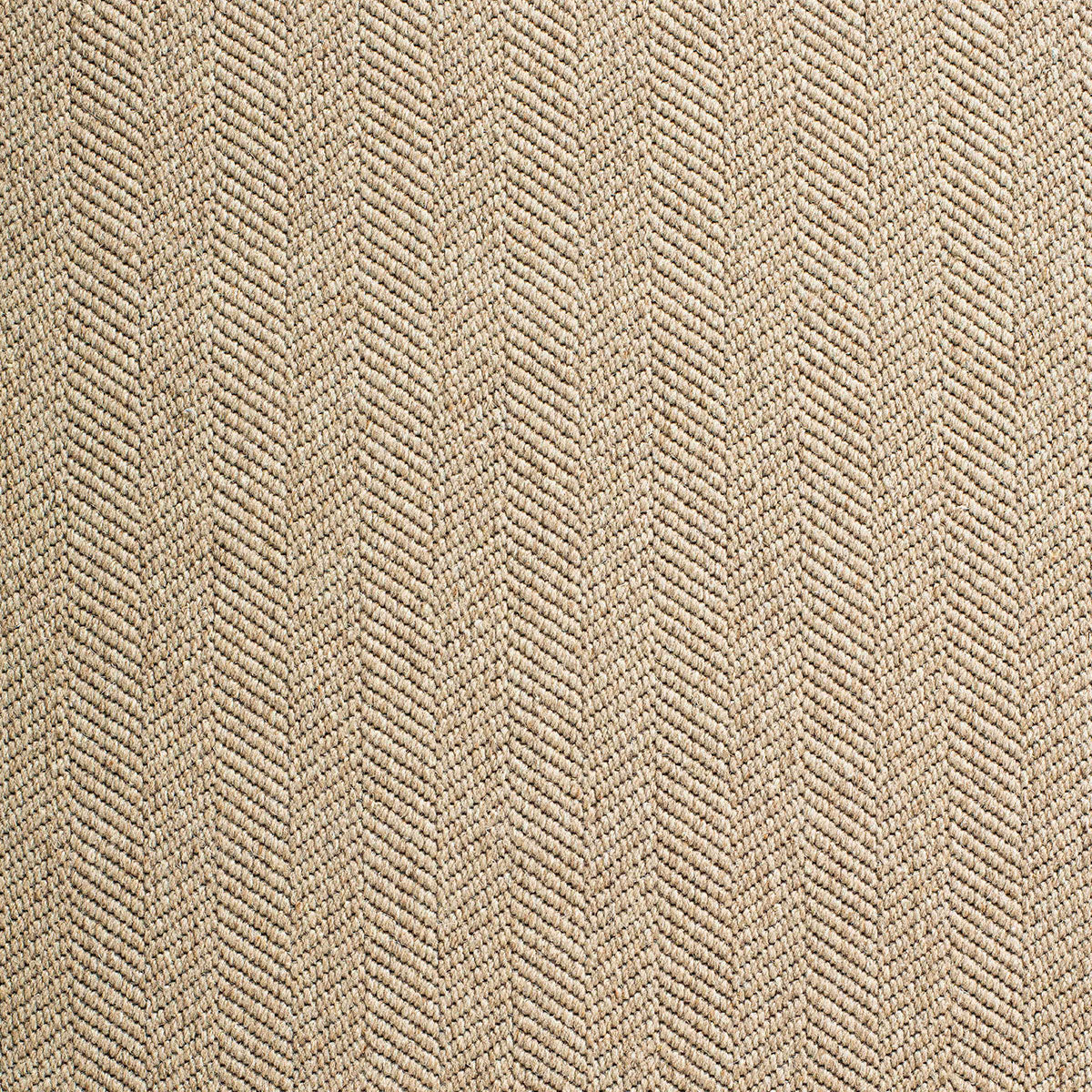 iggy_wool_broadloom_patterson-flynn-martin_pfm