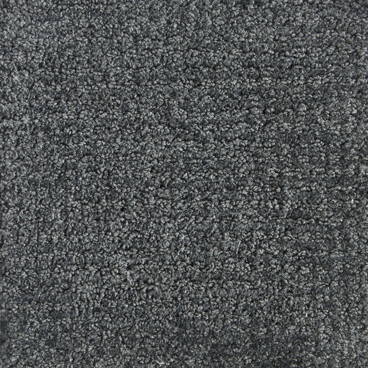 preppy_wool-nylon_broadloom_patterson-flynn-martin_pfm