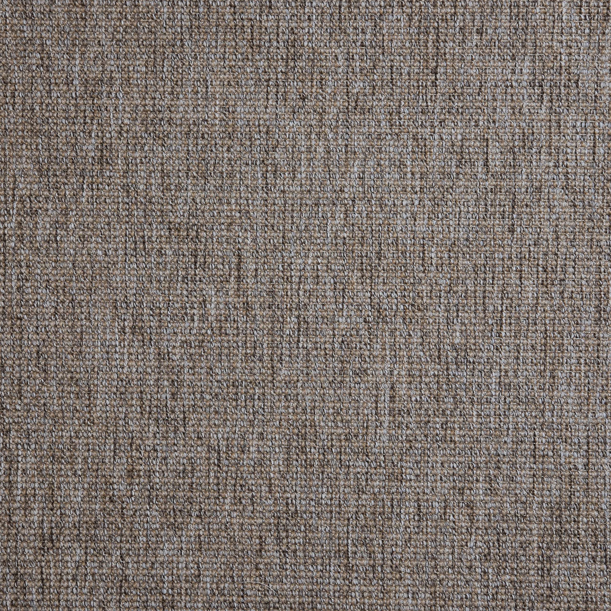safaree_polypropylene_broadloom_patterson-flynn-martin_pfm