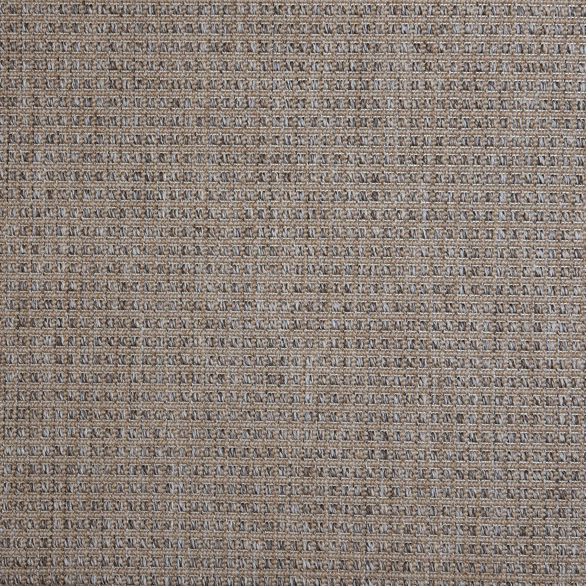skippy_polypropylene_broadloom_patterson-flynn-martin_pfm