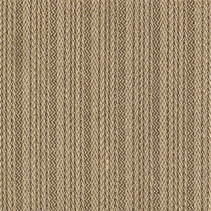 madden_sisal_broadloom_patterson-flynn-martin_pfm