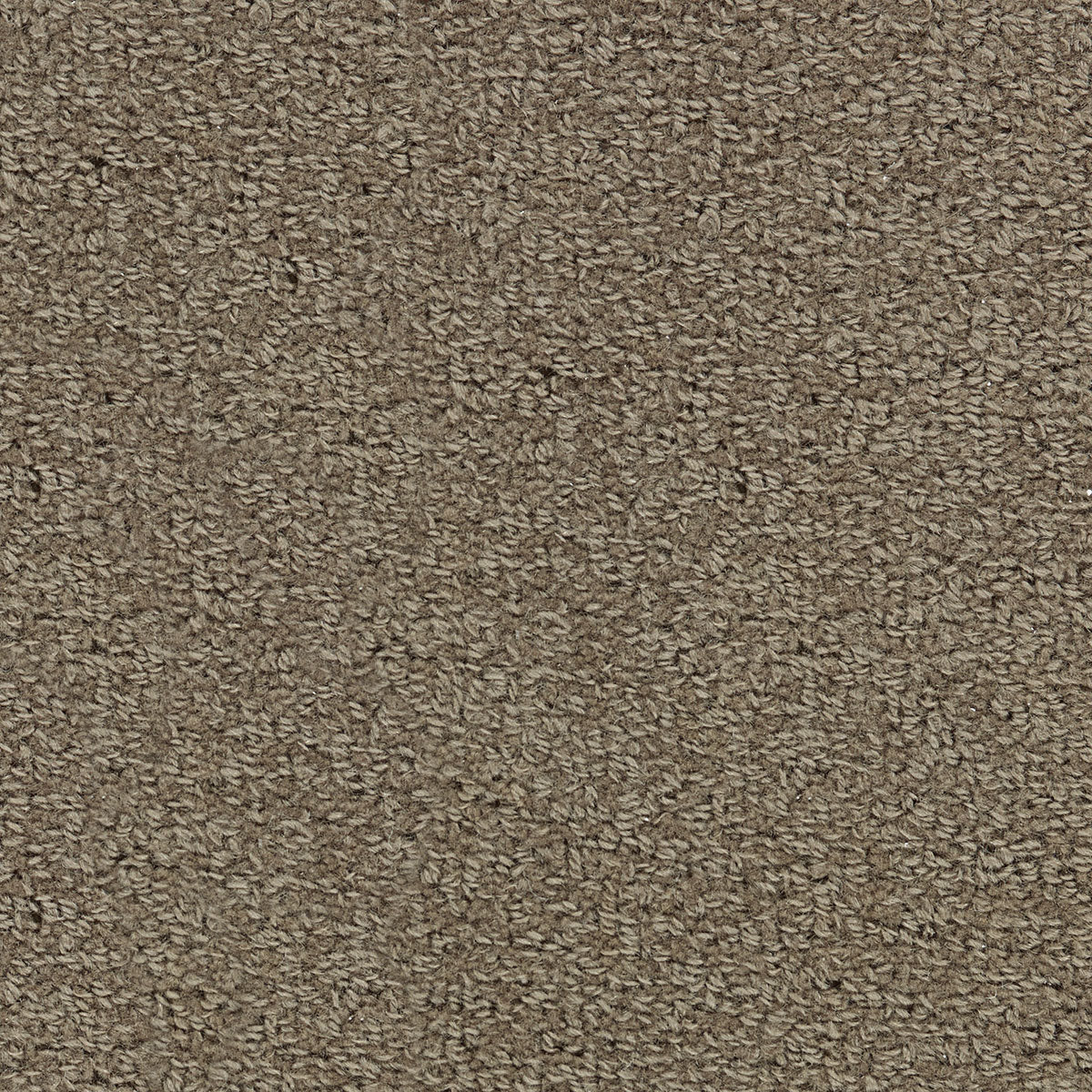 warwickshire-II_wool_broadloom_patterson-flynn-martin_pfm