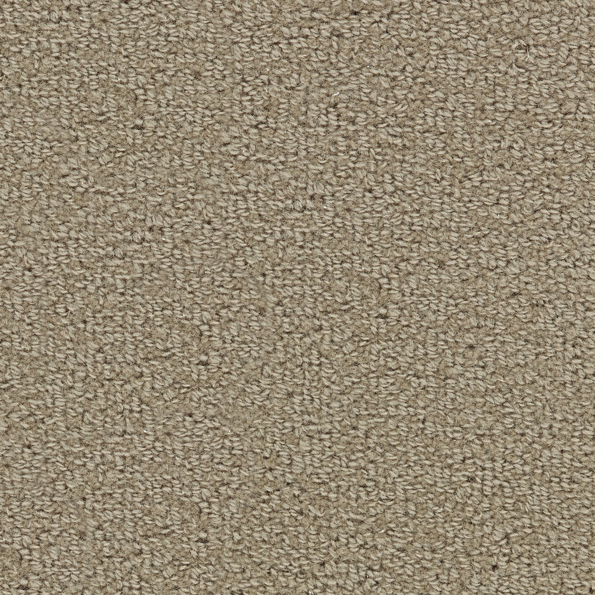 warwickshire-II_wool_broadloom_patterson-flynn-martin_pfm