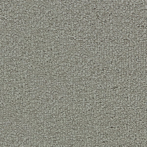 warwickshire-II_wool_broadloom_patterson-flynn-martin_pfm