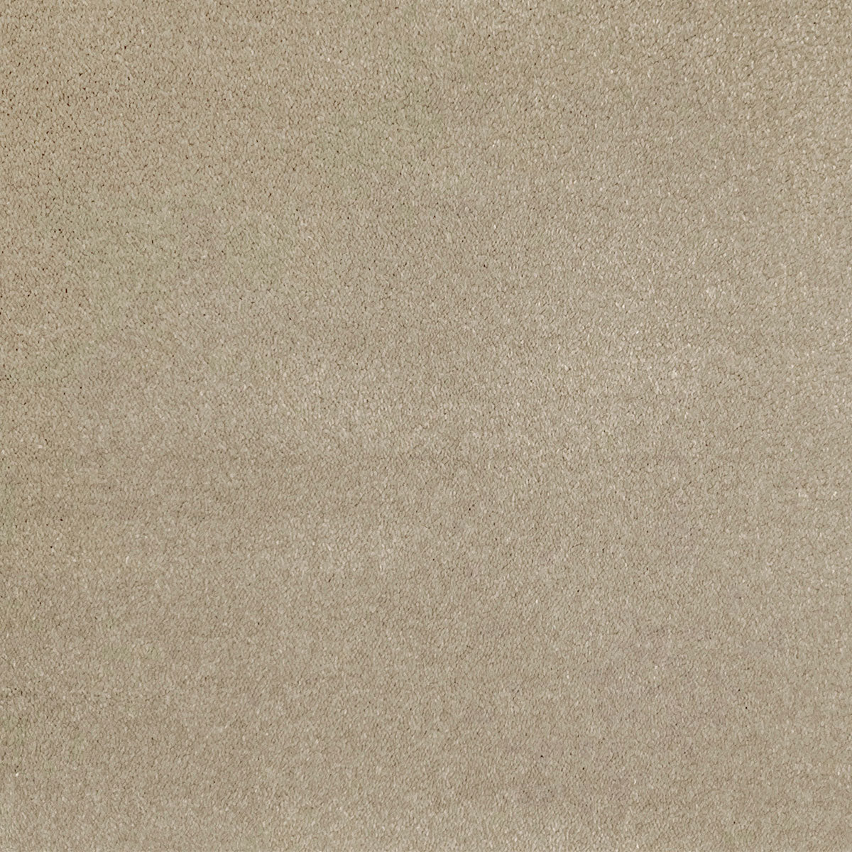 brayden_nylon_broadloom_patterson-flynn-martin_pfm