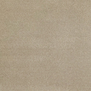 brayden_nylon_broadloom_patterson-flynn-martin_pfm