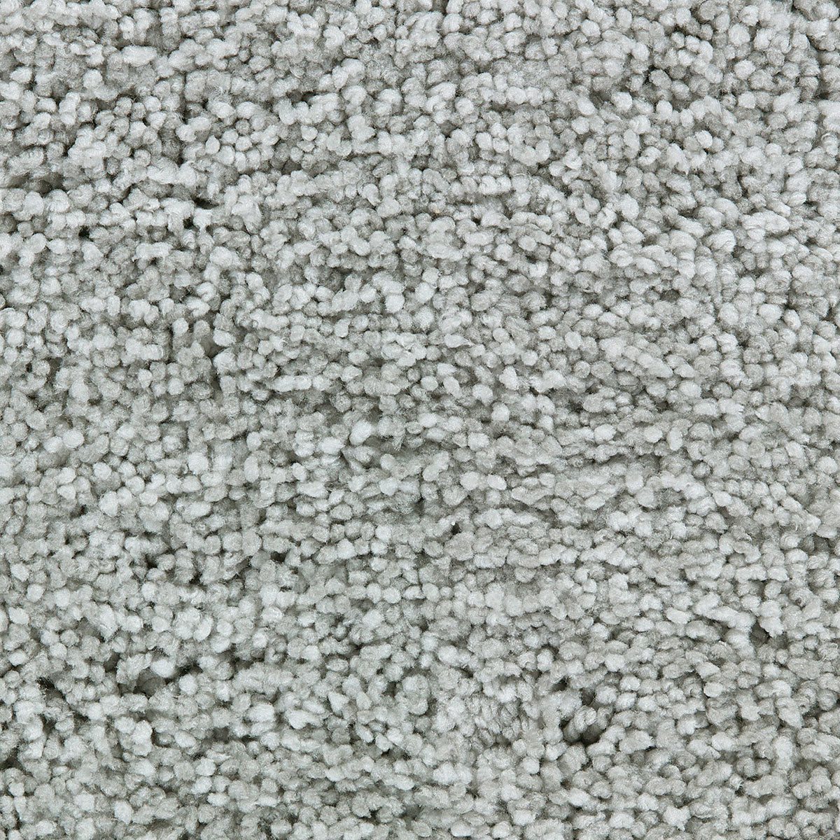 cozy-bloom_polyester_broadloom_patterson-flynn-martin_pfm