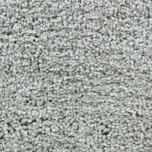 cozy-bloom_polyester_broadloom_patterson-flynn-martin_pfm