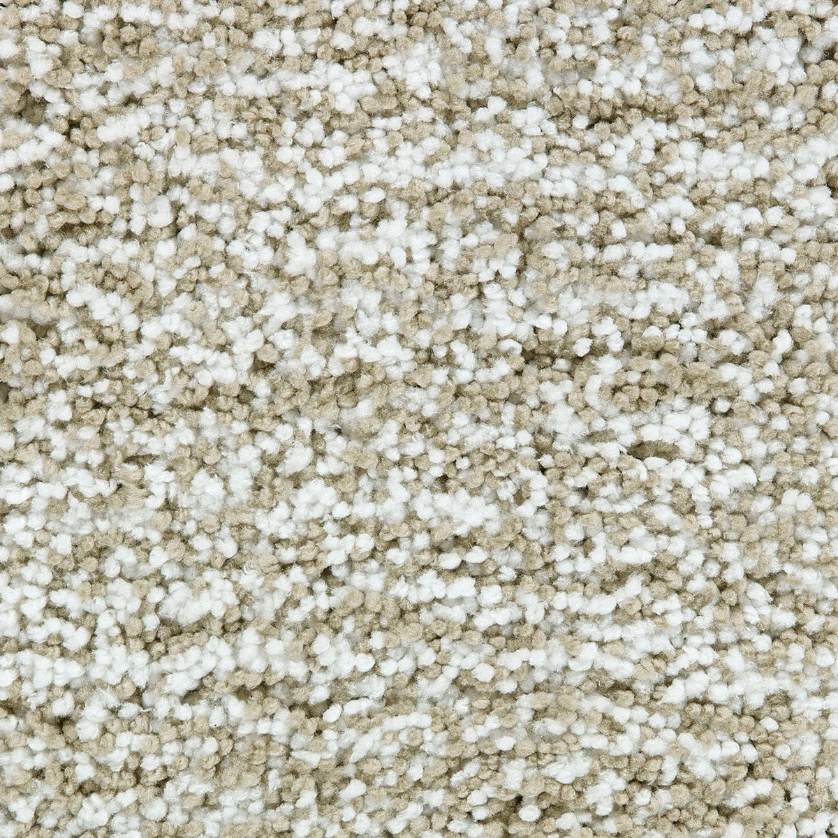 cozy-bloom_polyester_broadloom_patterson-flynn-martin_pfm