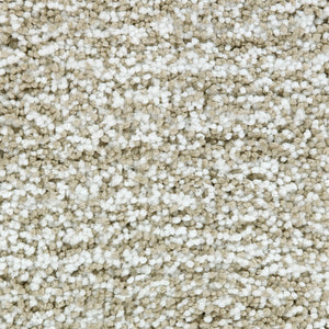 cozy-bloom_polyester_broadloom_patterson-flynn-martin_pfm