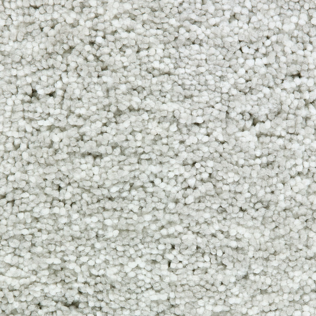 cozy-bloom_polyester_broadloom_patterson-flynn-martin_pfm