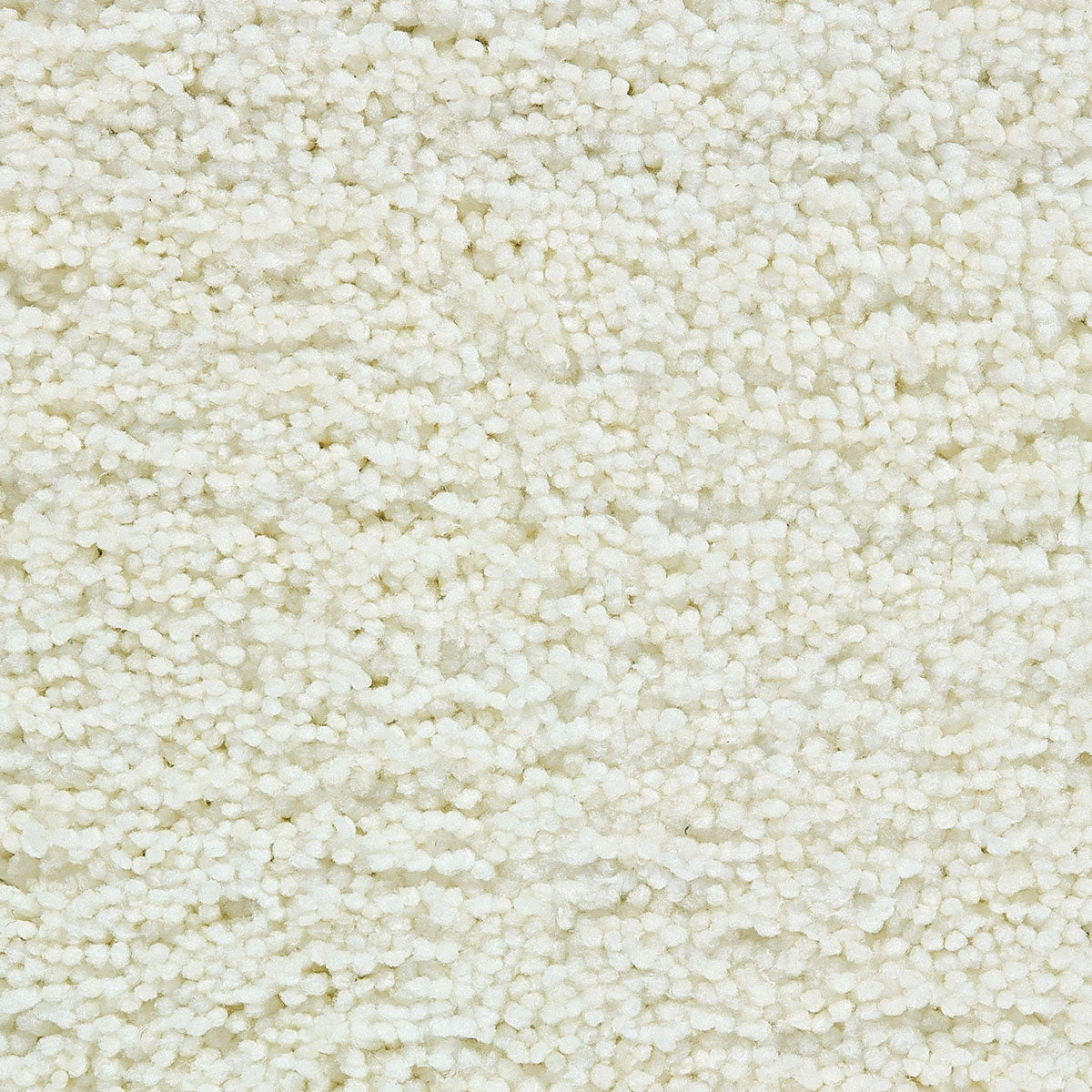 cozy-bloom_polyester_broadloom_patterson-flynn-martin_pfm