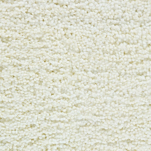 cozy-bloom_polyester_broadloom_patterson-flynn-martin_pfm