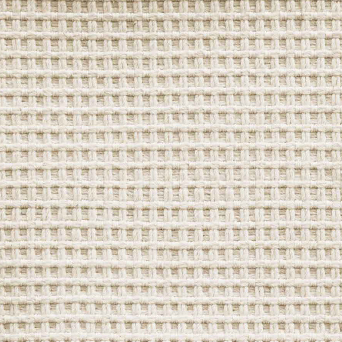 pacey_wool_broadloom_patterson-flynn-martin_pfm