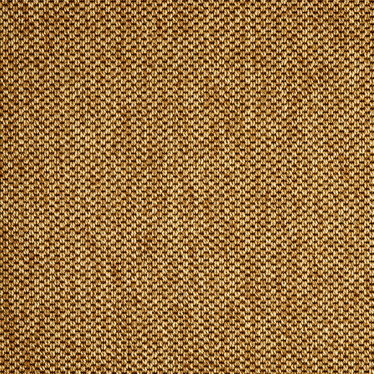 nandus_polypropylene-polysilk_broadloom_patterson-flynn-martin_pfm