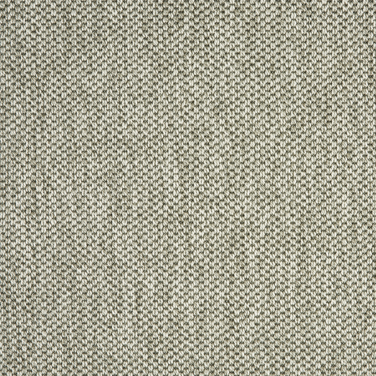 nandus_polypropylene_broadloom_patterson-flynn-martin_pfm