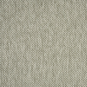 nandus_polypropylene_broadloom_patterson-flynn-martin_pfm