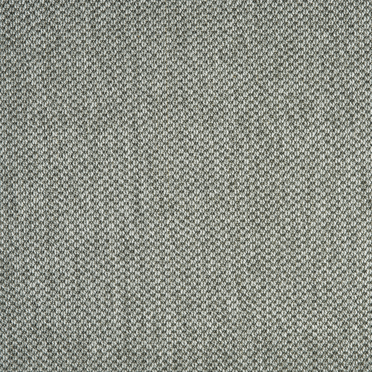 nandus_polypropylene-polysilk_broadloom_patterson-flynn-martin_pfm