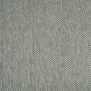 nandus_polypropylene-polysilk_broadloom_patterson-flynn-martin_pfm