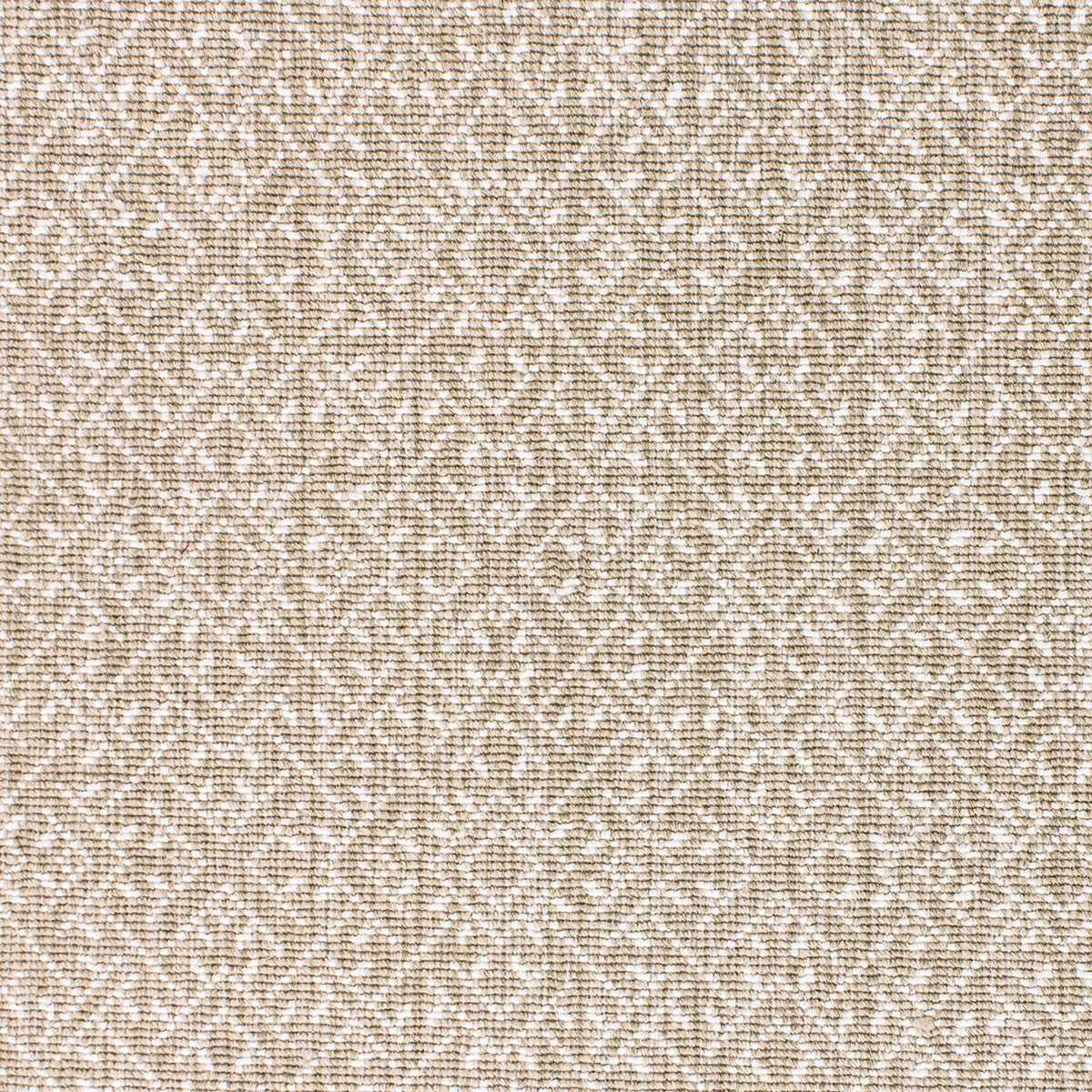 brees_wool-nylon_broadloom_patterson-flynn-martin_pfm