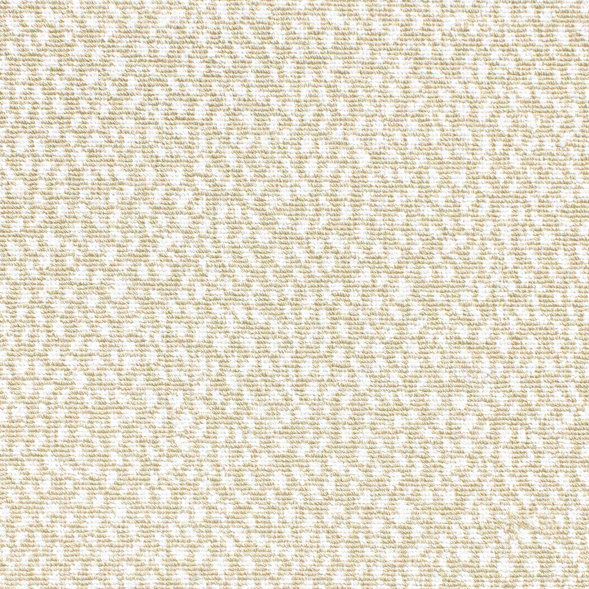 artistic-dot_wool-nylon_broadloom_patterson-flynn-martin_pfm