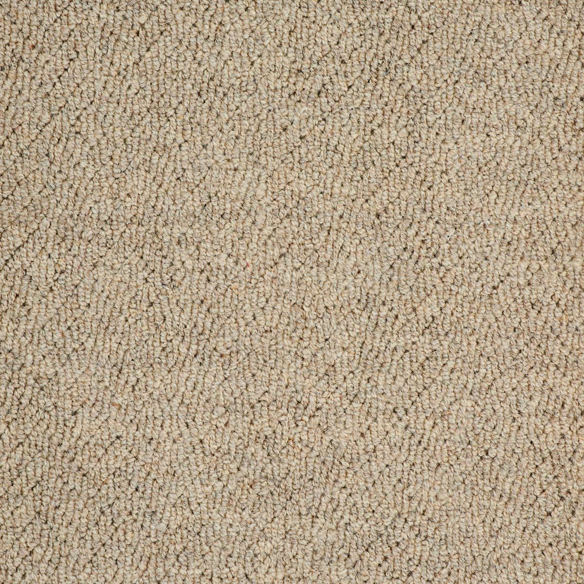 warby-creek_wool_broadloom_patterson-flynn-martin_pfm