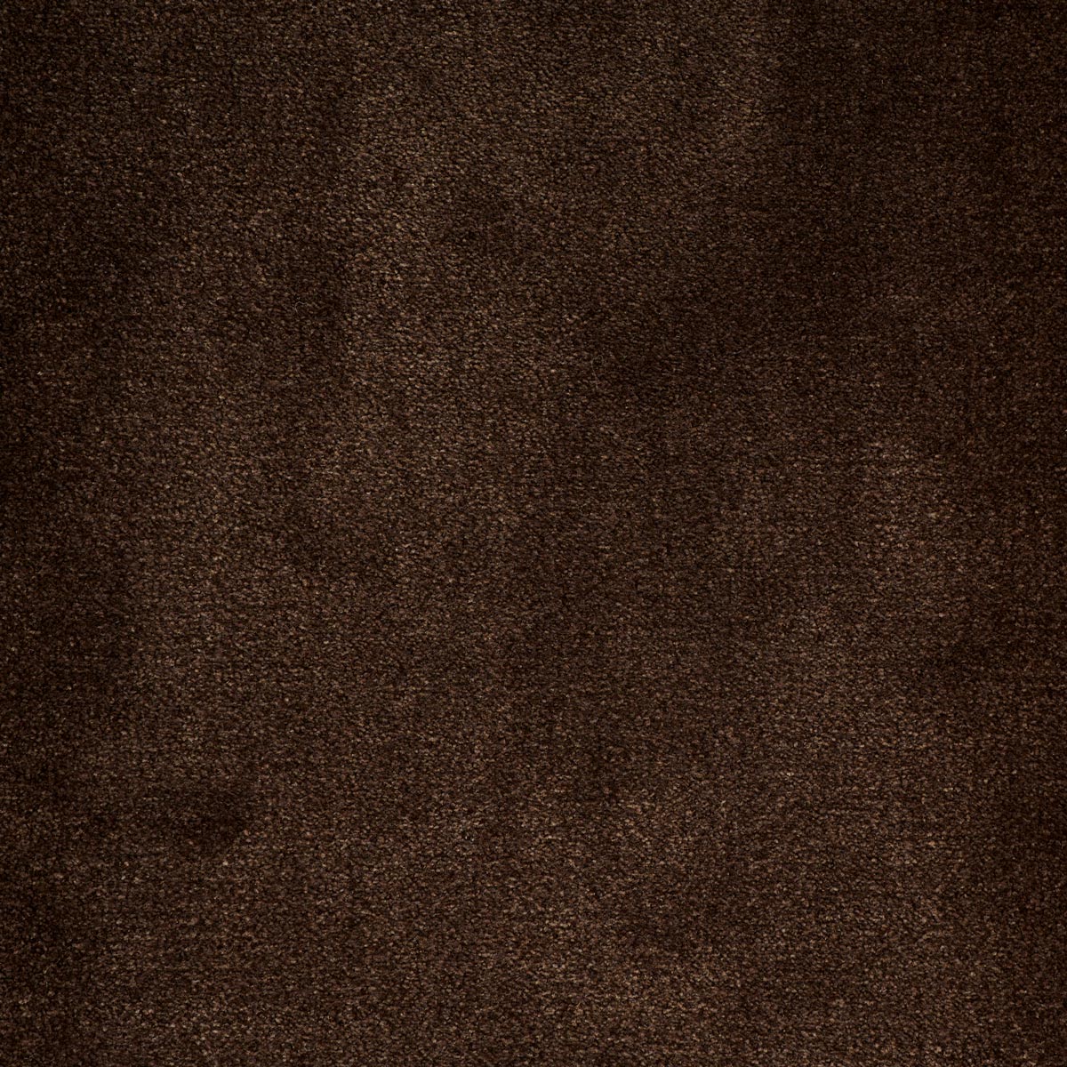 deedee_nylon_broadloom_patterson-flynn-martin_pfm