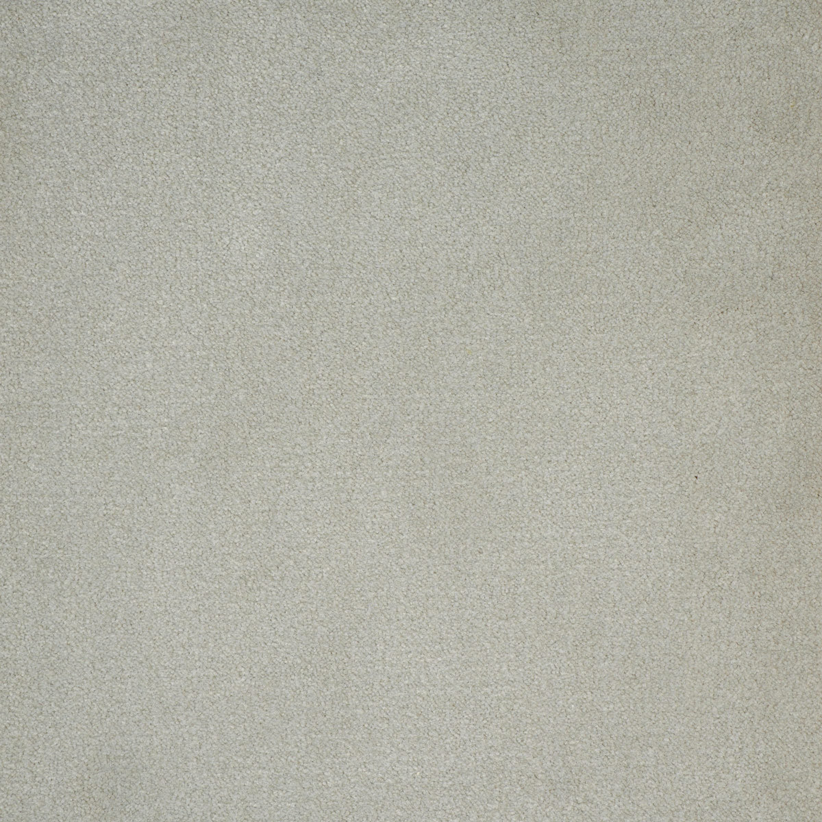 deedee_nylon_broadloom_patterson-flynn-martin_pfm