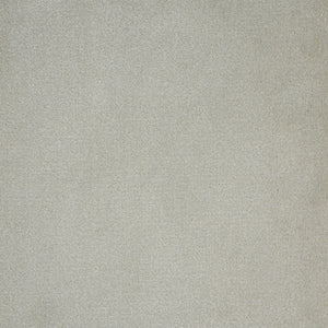 deedee_nylon_broadloom_patterson-flynn-martin_pfm